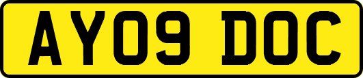 AY09DOC