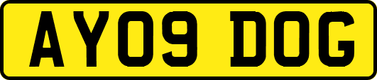 AY09DOG