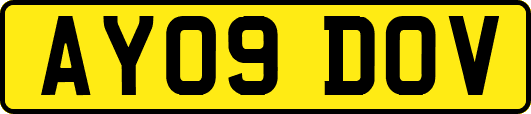 AY09DOV