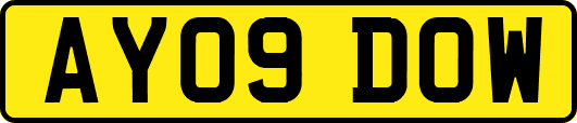 AY09DOW