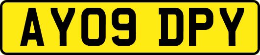 AY09DPY