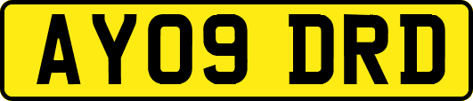 AY09DRD