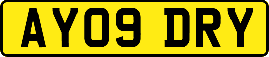 AY09DRY