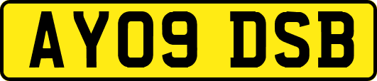 AY09DSB