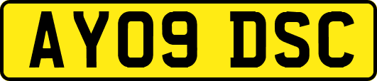 AY09DSC