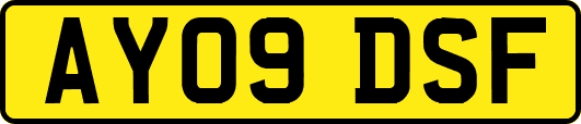 AY09DSF