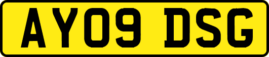 AY09DSG