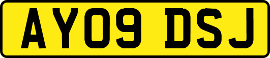 AY09DSJ