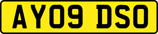 AY09DSO