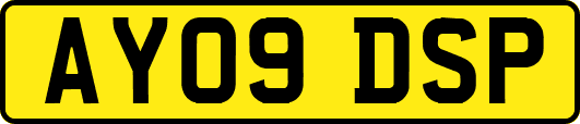 AY09DSP