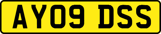 AY09DSS