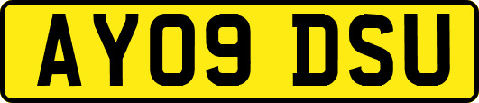 AY09DSU