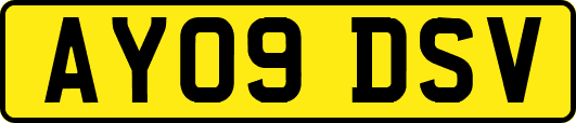 AY09DSV