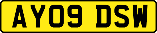 AY09DSW