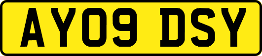AY09DSY