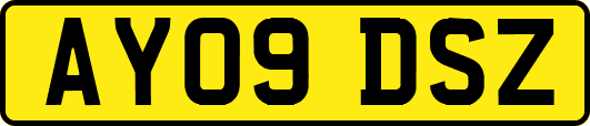 AY09DSZ