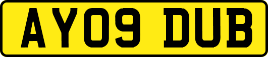 AY09DUB