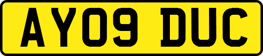 AY09DUC