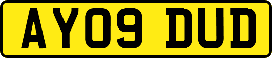 AY09DUD