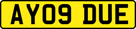 AY09DUE