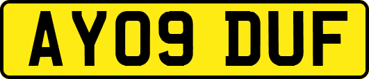 AY09DUF