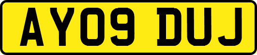 AY09DUJ