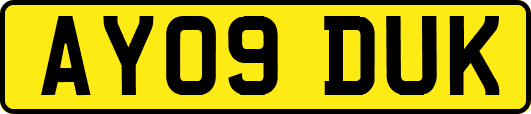 AY09DUK