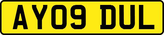 AY09DUL