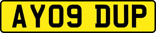 AY09DUP