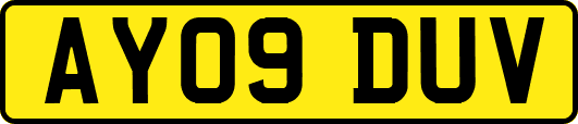 AY09DUV