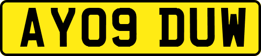 AY09DUW