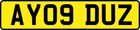 AY09DUZ
