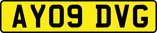 AY09DVG