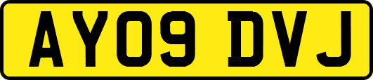 AY09DVJ