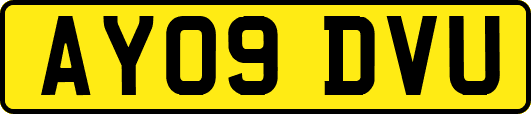 AY09DVU
