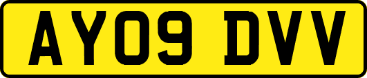 AY09DVV