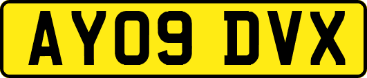 AY09DVX