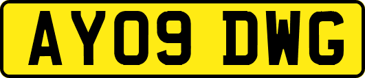 AY09DWG