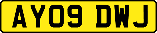 AY09DWJ