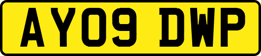 AY09DWP