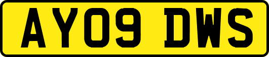 AY09DWS