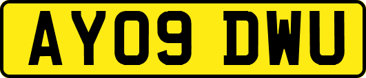 AY09DWU