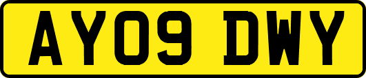 AY09DWY