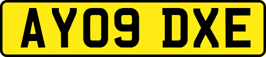 AY09DXE