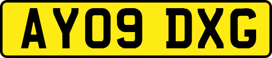 AY09DXG