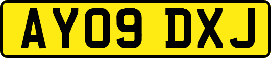 AY09DXJ