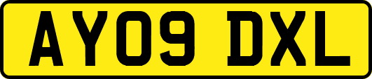 AY09DXL