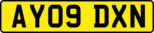 AY09DXN