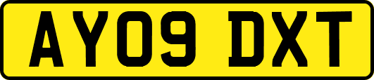 AY09DXT