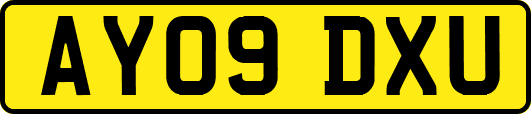 AY09DXU